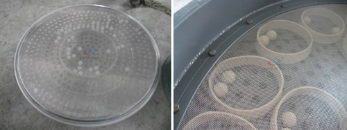 vibration sieve bouncing ball